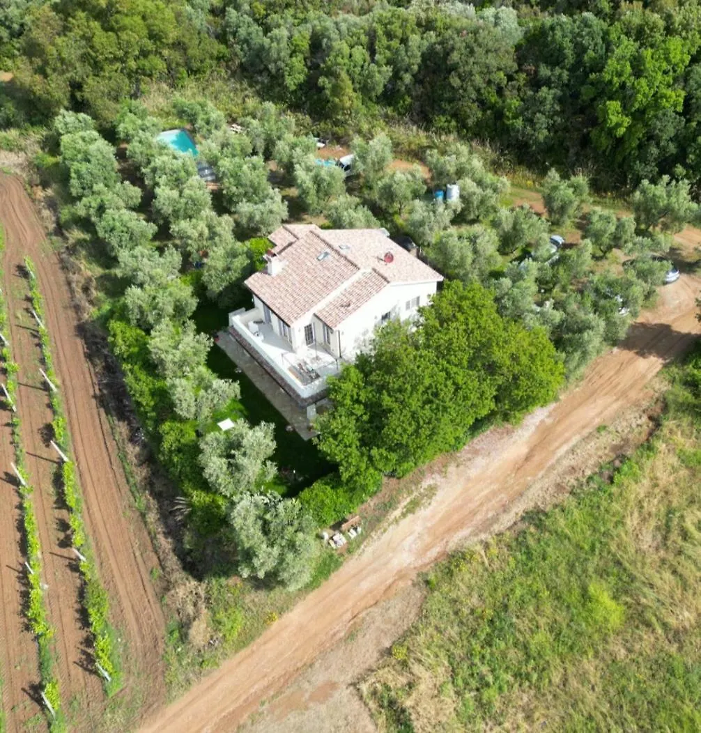 Apartment Appartamenti In Villa Castiglione della Pescaia Italy