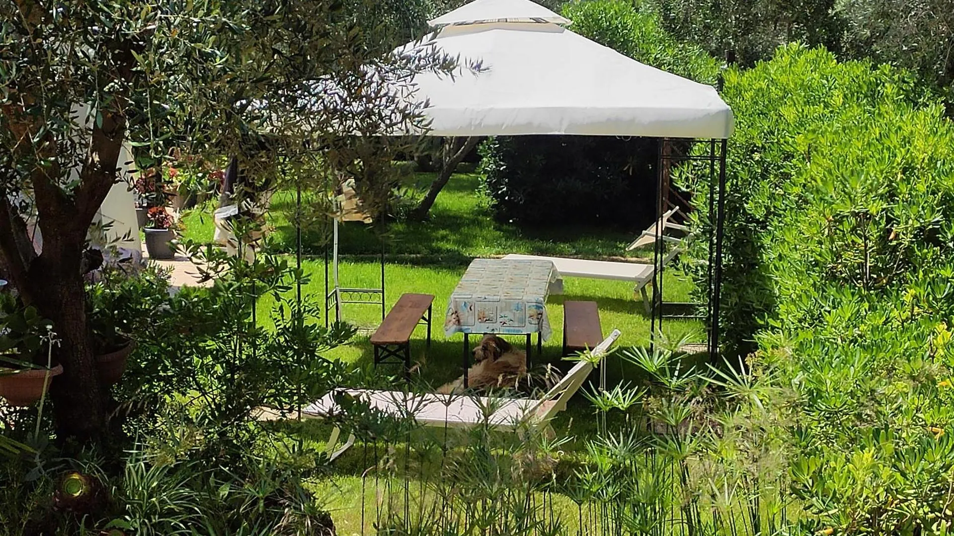 Appartamenti In Villa Castiglione della Pescaia 0*,
